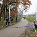 2014.11.09 Biegi Niepodległości - Ostrowiec Świętokrzyski