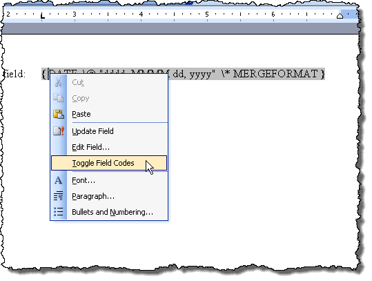 Selezionando Attiva/Disattiva codici di campo in Word 2003