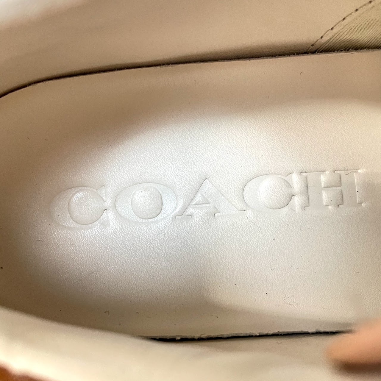 Coach Cherry Penguin Sneakers