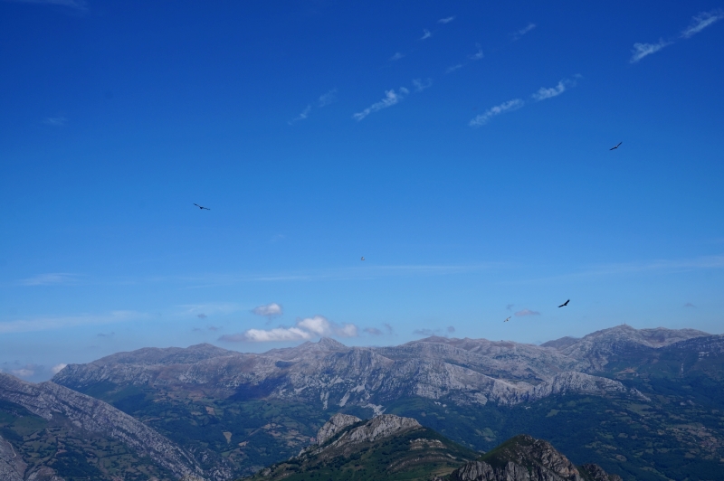 La Siella y Barzanalga (PN Ubiñas-La Mesa) - Descubriendo Asturias (37)