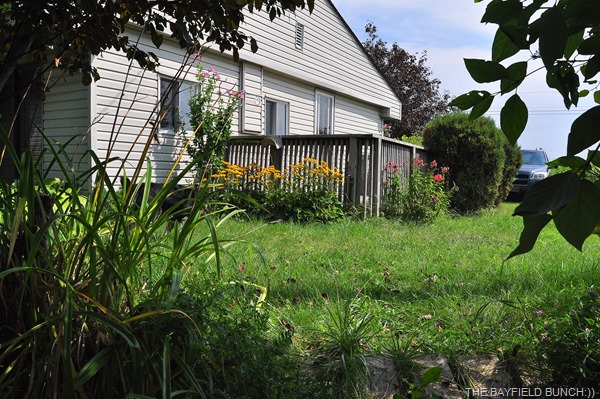 VIEW OF UPPER COTTAGE FROM THE HEAD OF THE STEPS LEADING DOWN TO BEACH