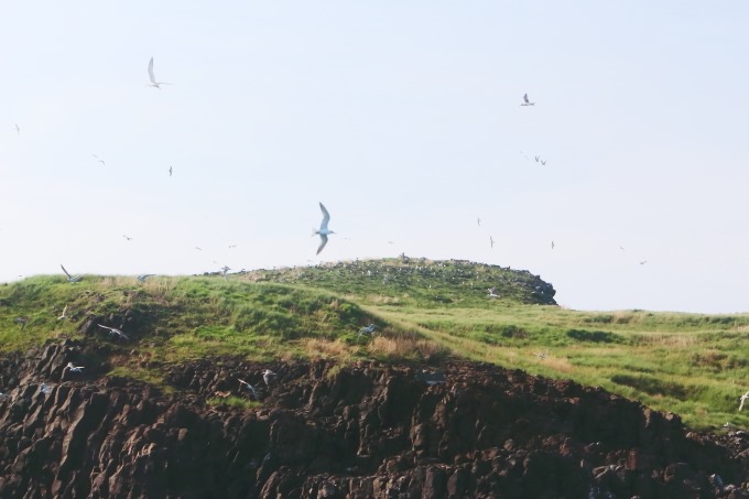 2015_0906_154839001 2015_0906_154839001