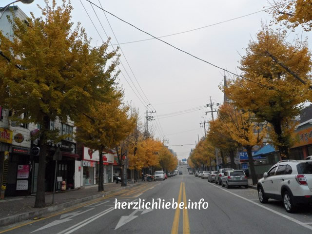 Fall in Korea