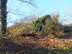 Another former airfield building camoflaged by undergrowth