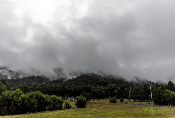 Wishful Thinking - Kangaroo Valley