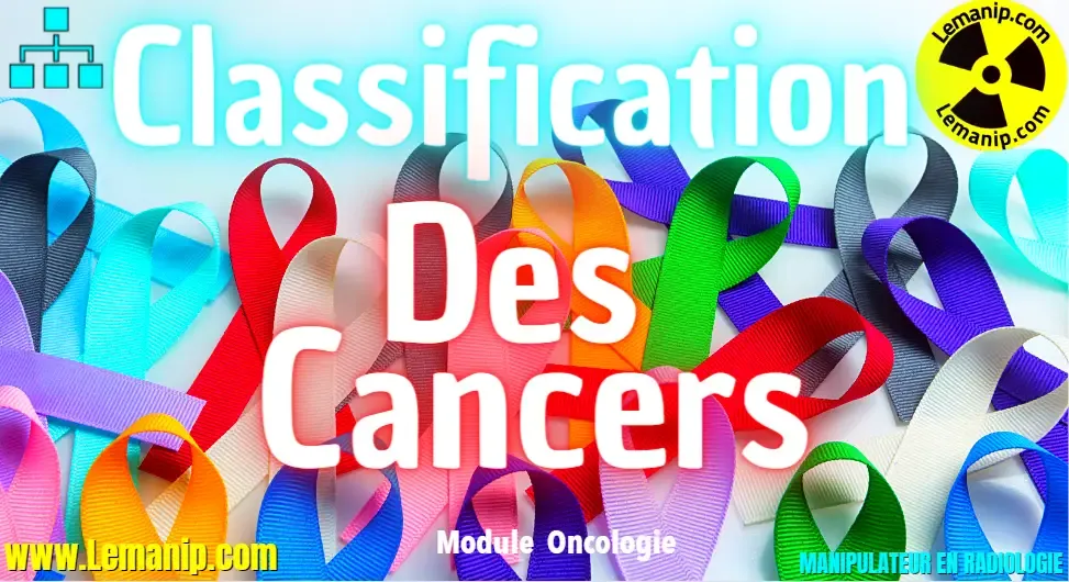 Classification Du Cancer