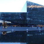 harpa concert hall in Reykjavik, Iceland 