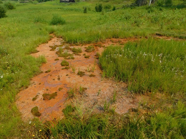 C002_CAN BC Wells Gray PP Ray Farm_2018-08-10_DSCN2171