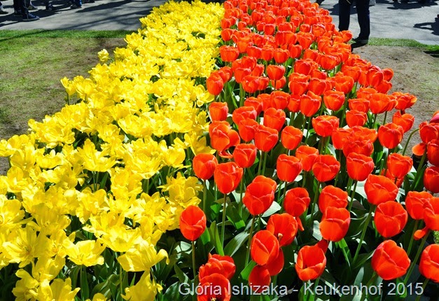 1 .Glória Ishizaka - Keukenhof 2015 - 10