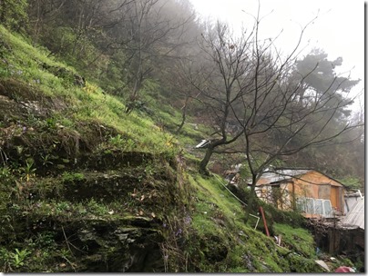 View from Wudang Shan Xianghe Villa at South Cliff 武當山南嚴祥和山莊