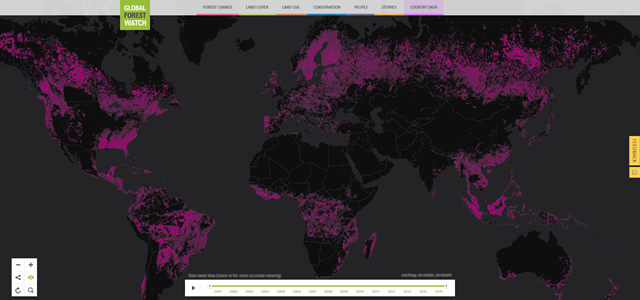 Tree cover loss, annual, 30m, global, Hansen / UMD / Google / USGS / NASA. Displaying loss with > 30 percent canopy density. Graphic: Global Forest Watch