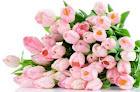 images (23).jpg