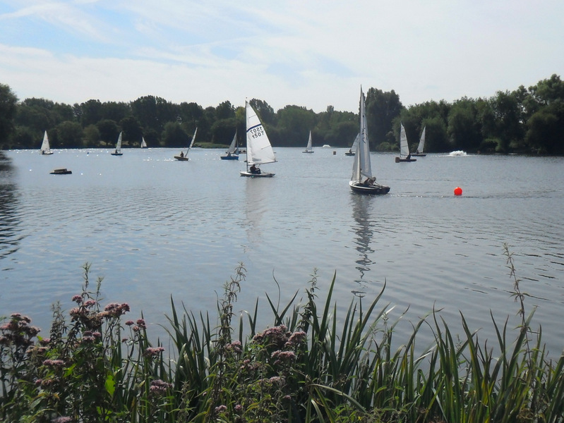 Sailing on the lake