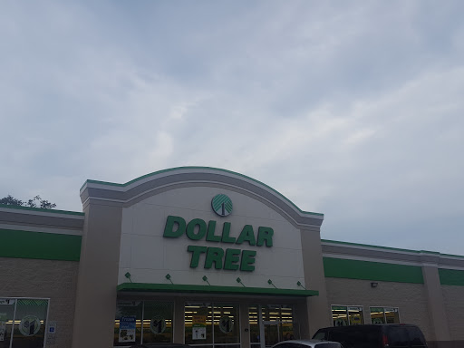 Dollar Store «Dollar Tree», reviews and photos, 71 Walker Ave, West Berlin, NJ 08091, USA