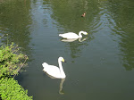 Tierpark Arth Goldau 09.09.12