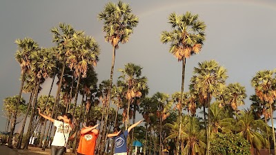 Photos of Lasiana Beach Recreation Park