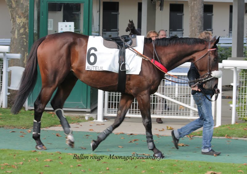 Photos Auteuil 26-09-2015 IMG_4208