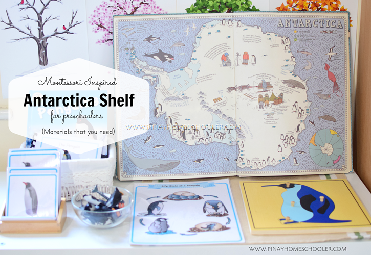 Montessori-Inspired Antarctica Shelf for Preschoolers