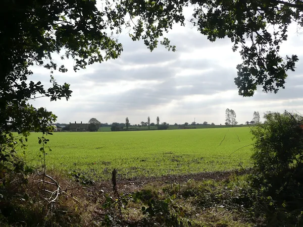 Fields near Mannington Hall