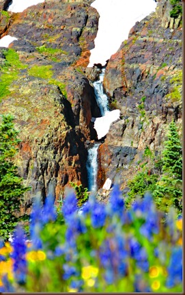 Crested Butte164-20 Jul 2016b