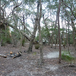 Chinamans Gully Campsite (314534)