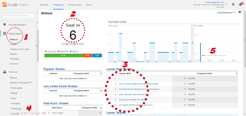 Cara Membaca Google Analytics