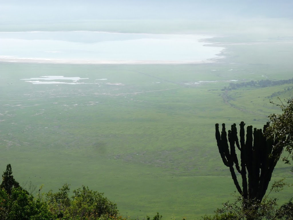 Танзания:Килиманджаро (Machame), Сафари, Занзибар. Январь 2013