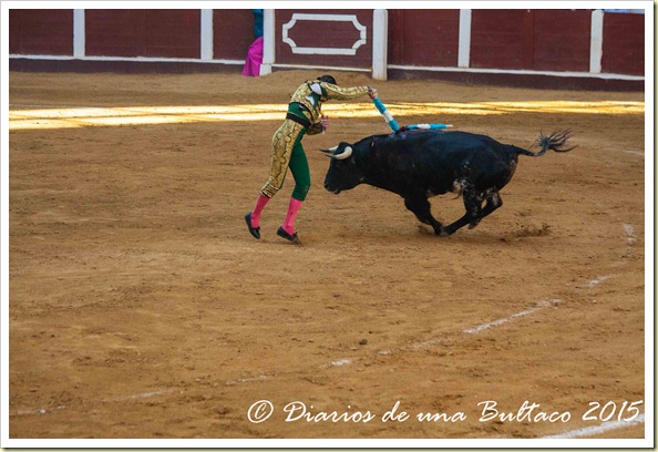 Toros Feria 2015-9867