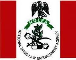 OUR CHAIRMAN NOT SACKED, HIS TENURE EXPIRED – NDLEA