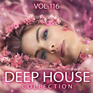 Deep House Collection Vol.116 - 2017 Mp3 indir