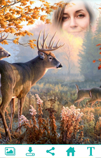 How to mod Beautiful Deer Photo Frame lastet apk for laptop