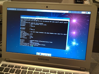 Fedora 17  su Chromebook