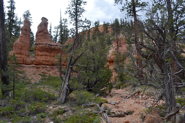 more hoodoos