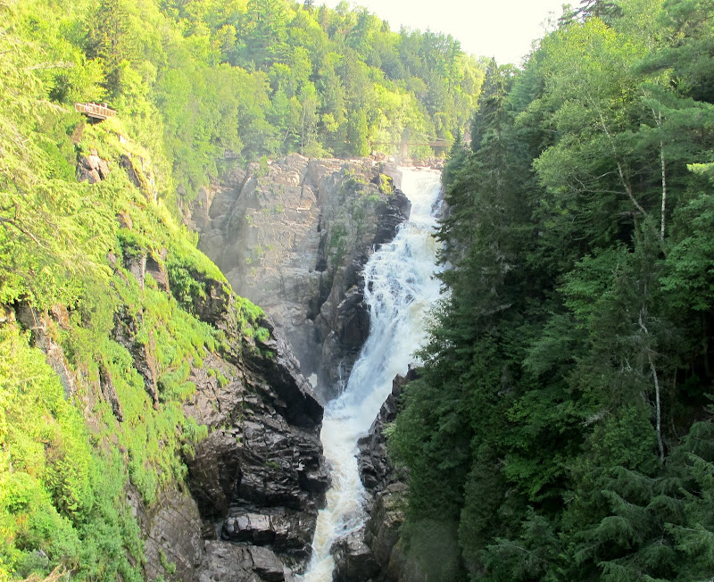 IMG_1350.JPG