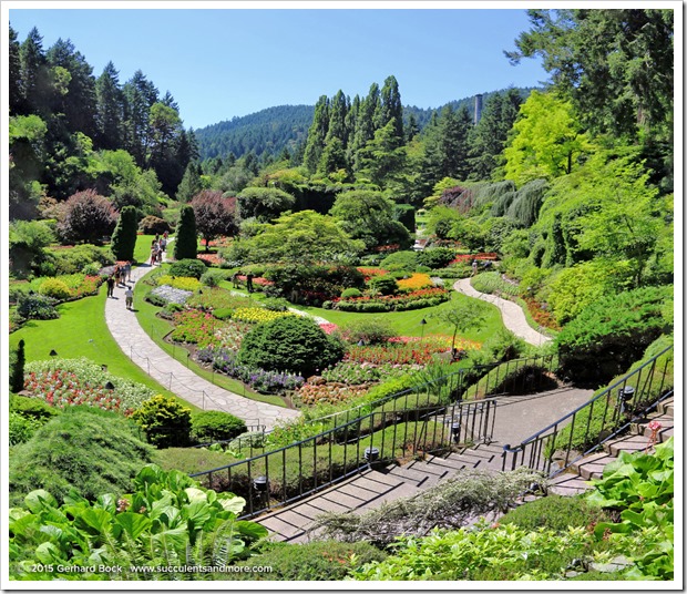 150702_Victoria_ButchartGardens_SunkenGarden_apno