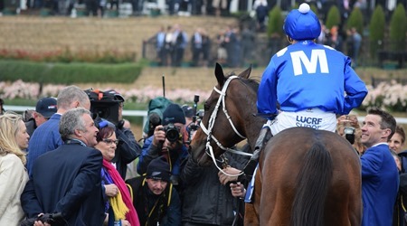 cox plate_winx 14