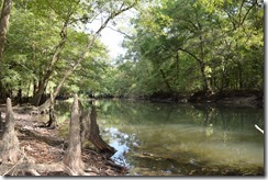 Chipola River view-1