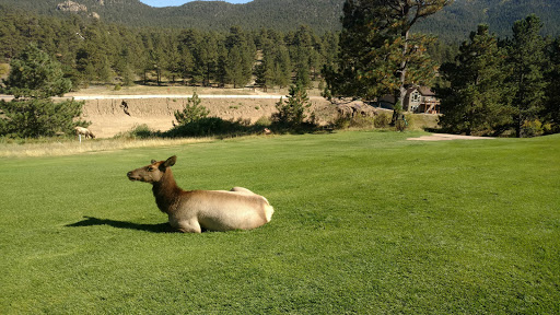 Golf Course «Estes Park Golf Course», reviews and photos, 1480 Golf Course Rd, Estes Park, CO 80517, USA