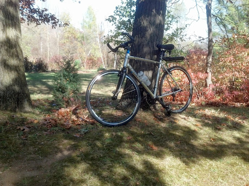 Bicycle Store «Tree Fort Bikes», reviews and photos, 1866 Whittaker Rd, Ypsilanti, MI 48197, USA