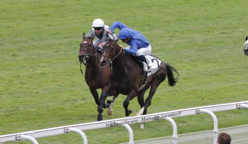 Photos Maisons-Laffitte 5-07-2015 IMG_2411