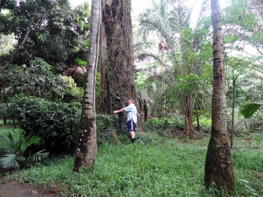 Costa neoRomantica: Сингапур,Малайзия,Таиланд, Шри-Ланка, Индия, Мальдивы,Сейшелы,Маврикий