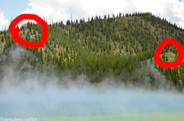 GRAND PRISMATIC SPRING (YELLOWSTONE N.P, USA)., Naturaleza-USA (7)