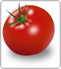 คำศัพท์ภาษาอังกฤษ_tomato_Vegetable