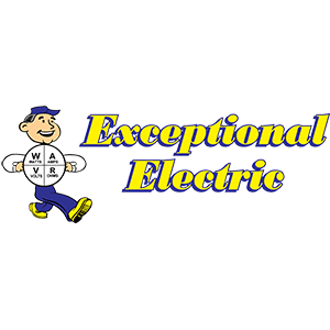 Exceptional Electric