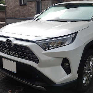 RAV4 MXAA54