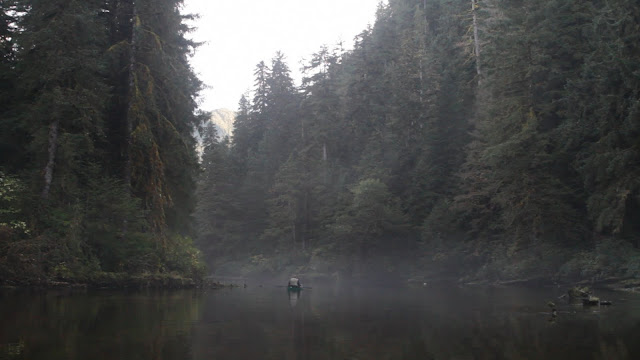 Only 7 Guardians of the Great Bear Rainforest remain. Photographer Courtney Quirin