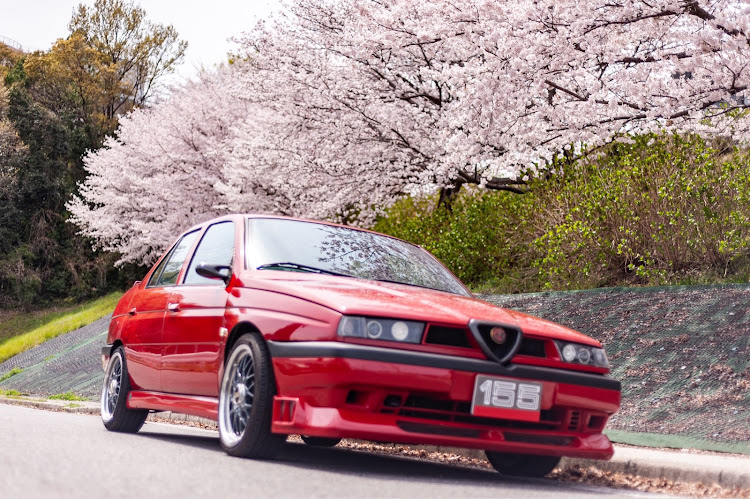 155のカメ活よろし・楽しいカメ活📷💕・桜を求めて・桜とコラボに関するカスタム事例の投稿画像2枚目