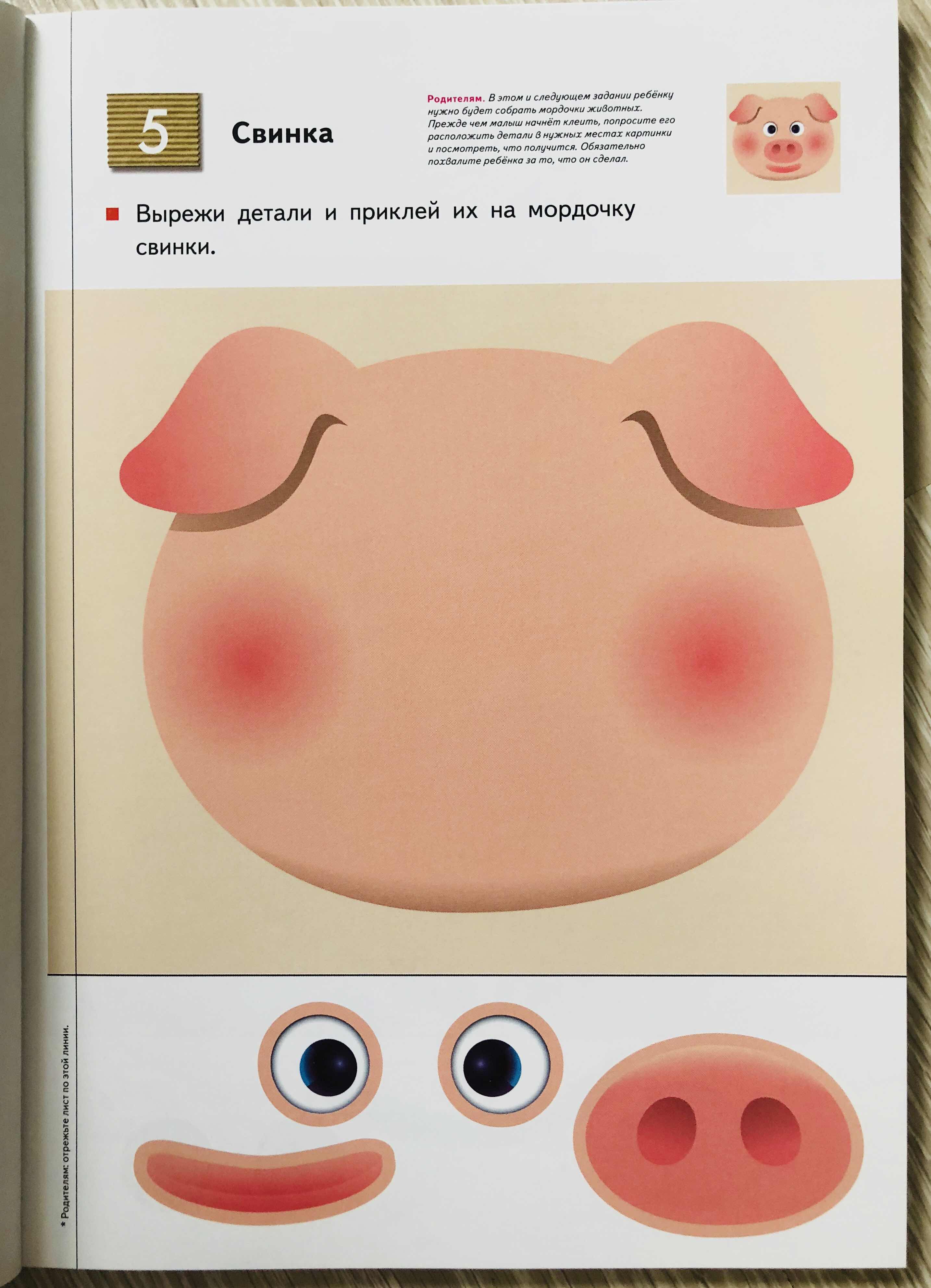 Задания для детей клеить