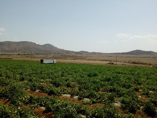 Rancho Castellanos, Km. 91, Fray Payo Enríquez de Rivera, 22900 San Vicente, B.C., México, Rancho ganadero | BC