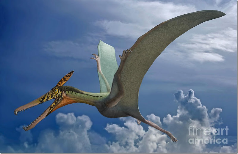 ludodactylus-sibbicki-a-pterosaur-sergey-krasovskiy